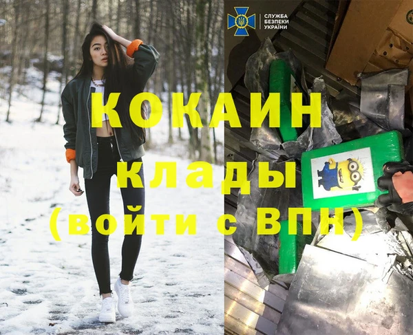 индика Балахна