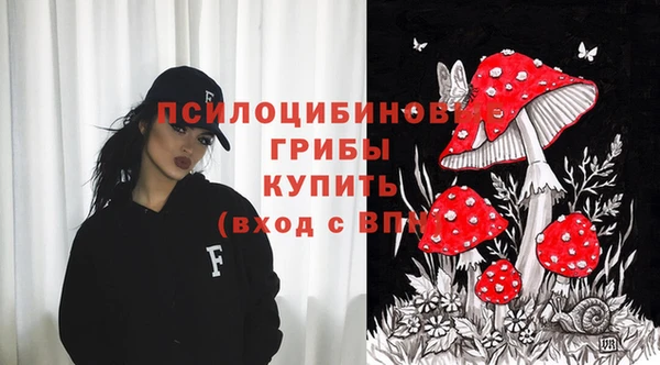прущие крисы Баксан
