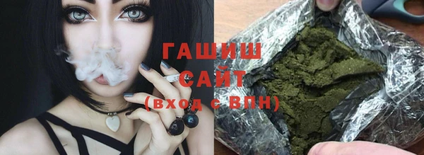индика Балахна