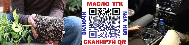 где купить наркотик  MEGA рабочий сайт  Дистиллят ТГК THC oil  Новоалександровск 