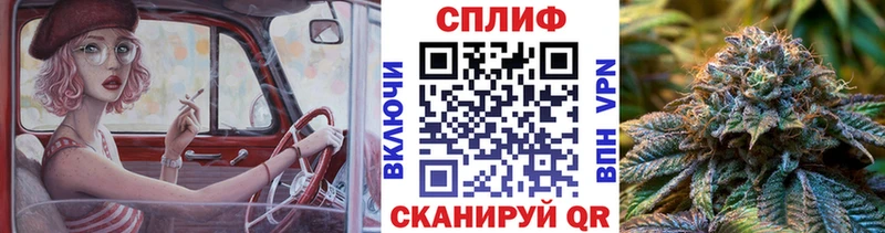 Шишки марихуана ГИДРОПОН  Новоалександровск 